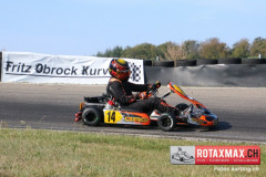 2020RMC4BOPKCSDD2018