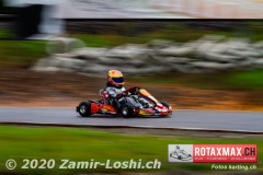 2020RMC5WOH-Zamirloshi035