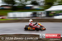 2020RMC5WOH-Zamirloshi231
