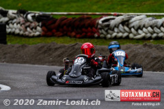2020RMC5WOH-Zamirloshi272