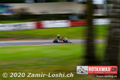 2020RMC5WOH-Zamirloshi318