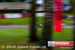 2020RMC5WOH-Zamirloshi322