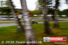 2020RMC5WOH-Zamirloshi332