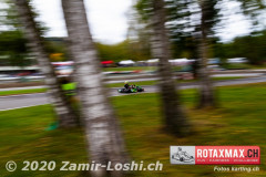 2020RMC5WOH-Zamirloshi333