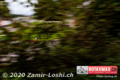 2020RMC5WOH-Zamirloshi335