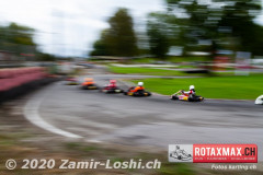 2020RMC5WOH-Zamirloshi344