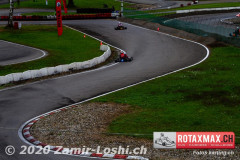 2020RMC5WOH-Zamirloshi374