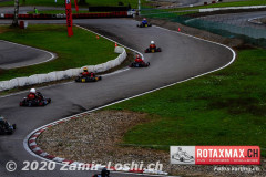 2020RMC5WOH-Zamirloshi375