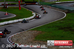 2020RMC5WOH-Zamirloshi377