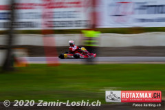 2020RMC5WOH-Zamirloshi392