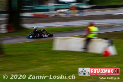 2020RMC5WOH-Zamirloshi394