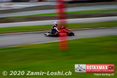 2020RMC5WOH-Zamirloshi395