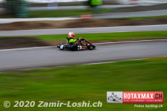 2020RMC5WOH-Zamirloshi396