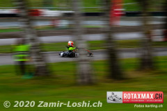 2020RMC5WOH-Zamirloshi397