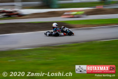 2020RMC5WOH-Zamirloshi399