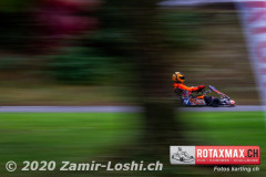 2020RMC5WOH-Zamirloshi451