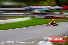 2020RMC5WOH-Zamirloshi458
