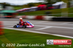 2020RMC5WOH-Zamirloshi479