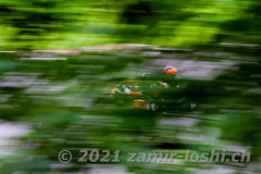 2021RMC2WohlenVaria-ZamirLoshi278