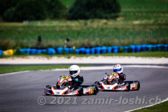 2021RMC4LevierVaria-ZamirLoshi082