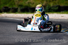 2021RMC4LevierVaria-ZamirLoshi202