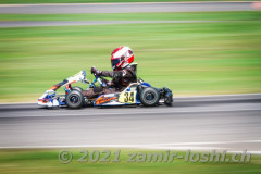 2021RMC4LevierVaria-ZamirLoshi206