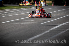 2021RMC4LevierVaria-ZamirLoshi212