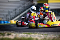 2021RMC5LevierVaria-ZamirLoshi315