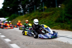 2021RMC5LevierVaria-ZamirLoshi445