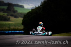 2021RMC5LevierVaria-ZamirLoshi524