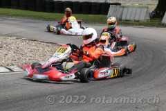 2022RMCWohlenIGDD2018