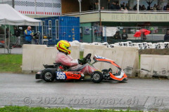 2022RMC6DDM082