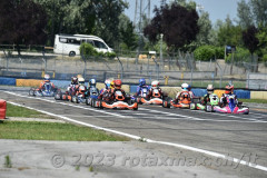 2023RMC03CastellettoDDM