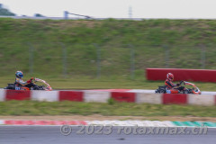 IMG_8607