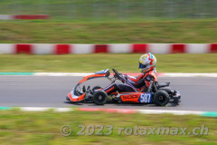 IMG_8610