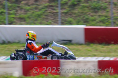 IMG_8638