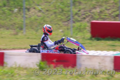 IMG_8641