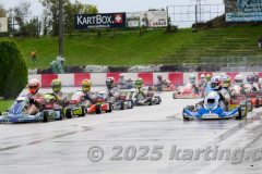 2025HerbstCupDD2DDM002
