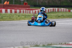 Liam Fluekiger
