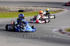 Schweiz: Rotax Racing 2026,  - Kartbahn Wohlen, Wohlen: