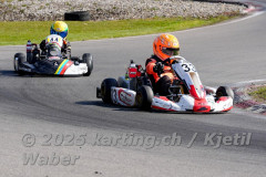 Schweiz: Rotax Racing 2026,  - Kartbahn Wohlen, Wohlen: