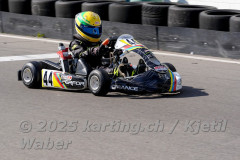 Schweiz: Rotax Racing 2026,  - Kartbahn Wohlen, Wohlen:
