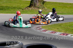 Schweiz: Rotax Racing 2026,  - Kartbahn Wohlen, Wohlen: