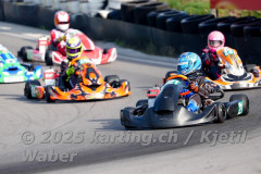 Schweiz: Rotax Racing 2026,  - Kartbahn Wohlen, Wohlen: