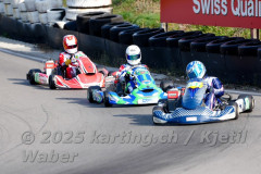 Schweiz: Rotax Racing 2026,  - Kartbahn Wohlen, Wohlen: