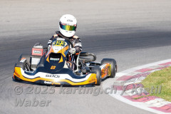 Schweiz: Rotax Racing 2026,  - Kartbahn Wohlen, Wohlen: