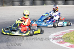 Schweiz: Rotax Racing 2026,  - Kartbahn Wohlen, Wohlen: