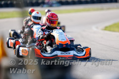 Schweiz: Rotax Racing 2026,  - Kartbahn Wohlen, Wohlen: