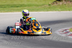 Schweiz: Rotax Racing 2026,  - Kartbahn Wohlen, Wohlen: