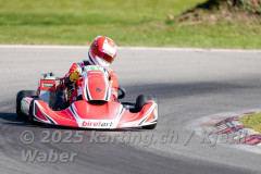 Schweiz: Rotax Racing 2026,  - Kartbahn Wohlen, Wohlen: